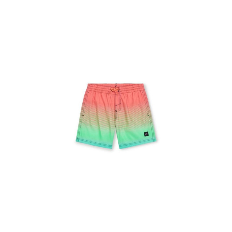o neill hyperdry swim shorts
