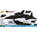 Lockheed SR-71 1374 blocks