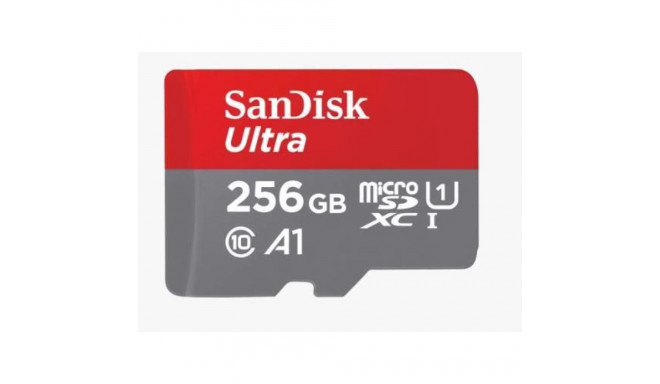 SANDISK BY WESTERN DIGITAL MEMORY MICRO SDXC 256GB UHS-I/W/A SDSQUAC-256G-GN6MA SANDISK