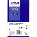 1x2 Epson SureLab Pro-S Paper Glossy 102 mm x 65 m 254 g BP