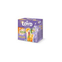 Külm tee LOYD Cold Infusion, apelsini ja salveimaitseline, 12 x 2,5 g