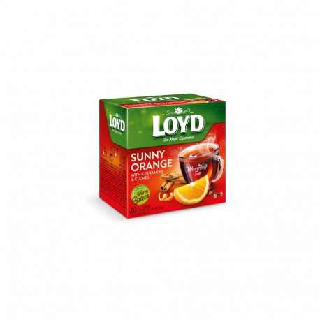 Tee LOYD apelsinikaneeli ja nelgimaitseline 20 x 2g