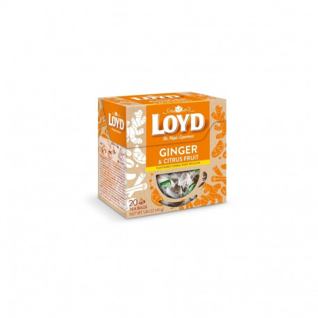 Tee LOYD ingveri- ja tsitrusemaitseline 20 x 2g