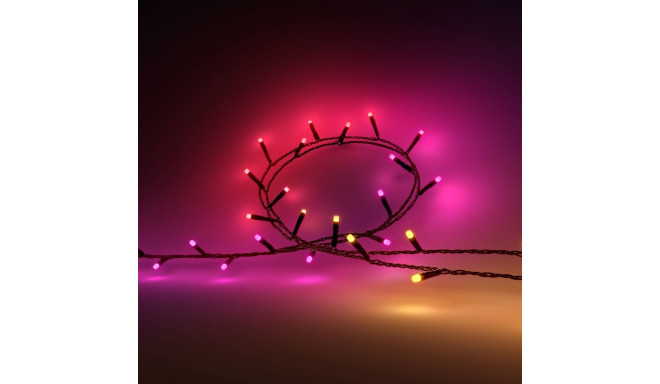 Philips Hue Festavia string lights 250 LED, 20m | 14 W | Variable