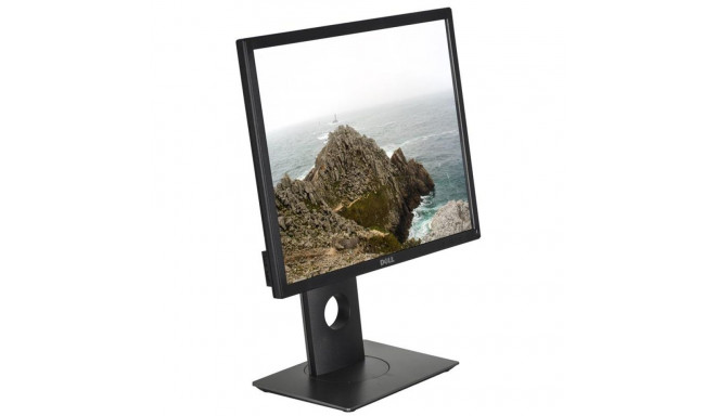 MONITOR LCD 19" P1917S IPS/210-AJBG DELL