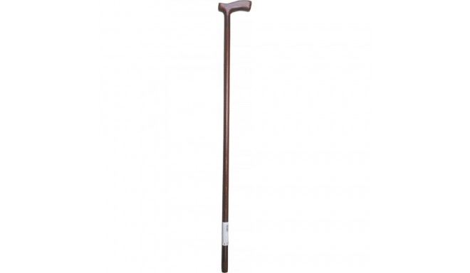 Traditional cane with T-handle