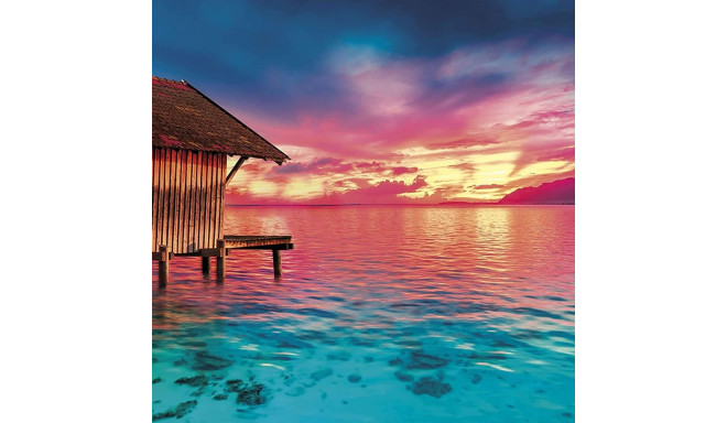 Clementoni pusle Tulevik Peace 500 tk