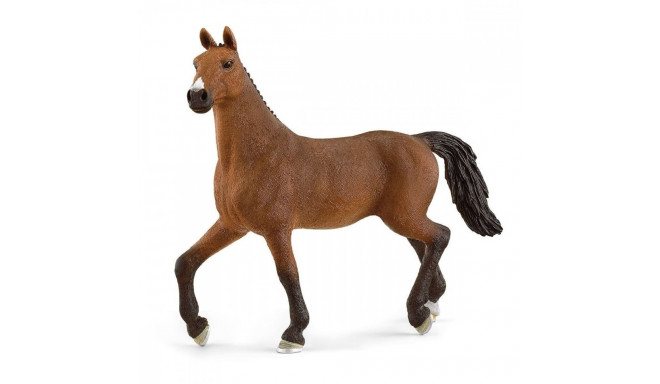 Figure Mare of the Oldenburg Horse Club