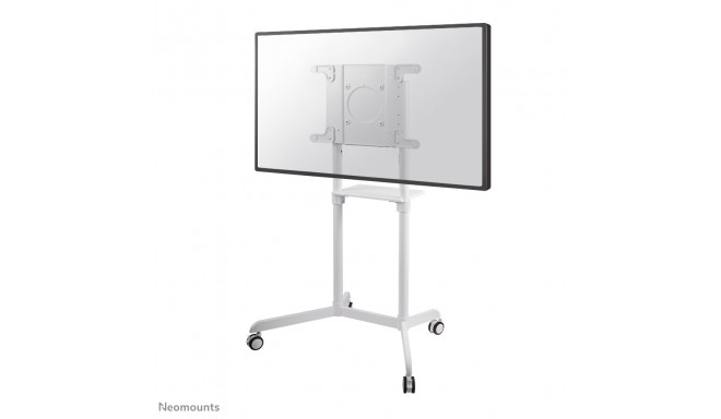 Neomounts by Newstar pööratav põrandastatiiv NS-M1250WHITE - liigutatav põrandastatiiv kuni 70" ekra