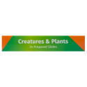 Levenhuk LabZZ CP24 Creatures & Plants Prepared Slides Set