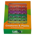 Levenhuk LabZZ CP24 Creatures & Plants Prepared Slides Set