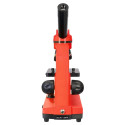 Микроскоп Levenhuk Rainbow 2L Оранжевый  40x-400x с экспериментальным комплектом