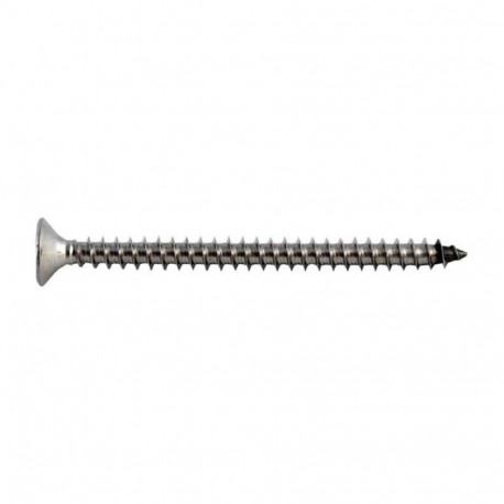 WOOD SCREW A2 6.0X100 TORX