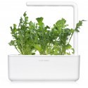 Click & Grow Smart Garden refill Arugula 3pcs