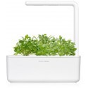 Click & Grow Smart Garden refill Cress 3pcs