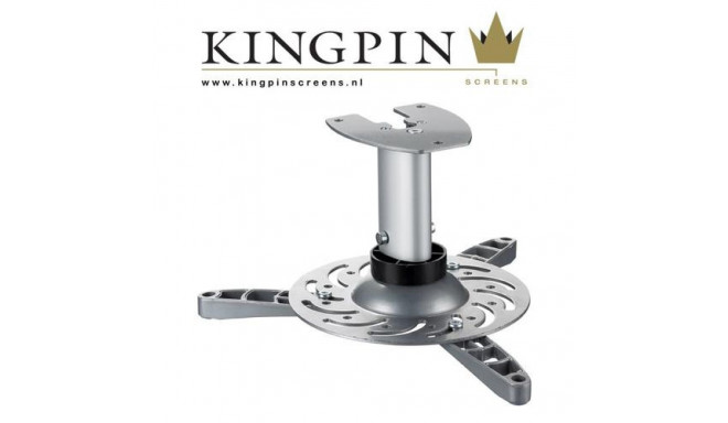 Kingpin Screens Vertical Projector Mount