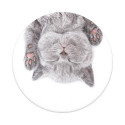 PopSockets Cat Nap Passive holder E-book reader, Mobile phone/Smartphone, Tablet/UMPC Multicolour