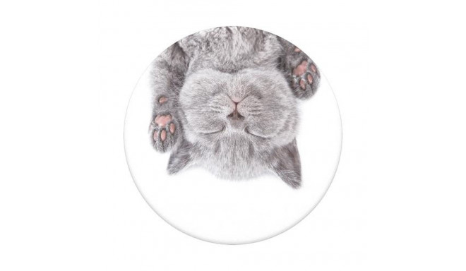 PopSockets Cat Nap Passive holder E-book reader, Mobile phone/Smartphone, Tablet/UMPC Multicolour