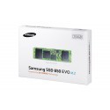 Samsung SSD 850 Evo 250GB, M.2 (MZ-N5E250BW)