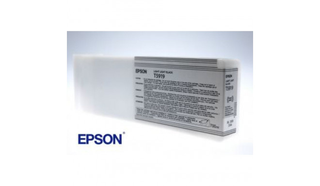 EPSON T591900 Ink cartrige, Light Light Black