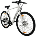 Sharp Gravel E-Bike 250W Motor App 70km weiß glanz