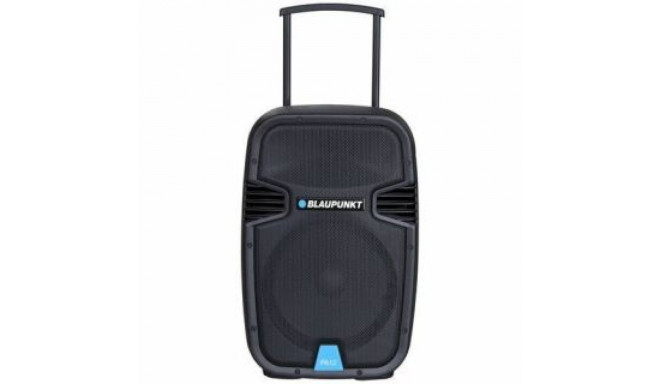 Blaupunkt PA12