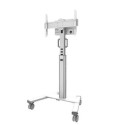 NEOMOUNTS MONITOR ACC FLOOR STAND 37-75"/FL50S-825WH1