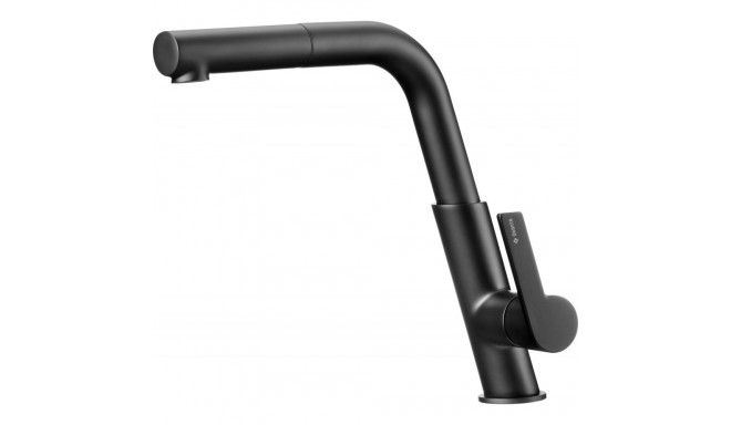 Kitchen faucet with pull-out spout