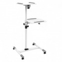 Universal projector/notebook trolley two shelvy