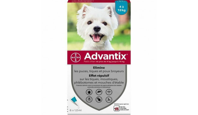 Anti-parasites Advantix Dog 4-10 kg 6 Units