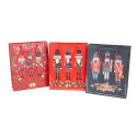 Giftbag NUTCRACKER M, 26x32x10cm, mix