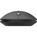 Wortmann AG TERRA NBM1000B mouse Ambidextrous RF Wireless + Bluetooth Optical 4000 DPI