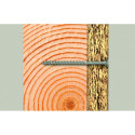 Fischer kruvikeeraja FPF-ST 6.0x100 A2, 100 tk.