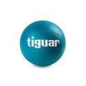 Medicine ball tiguar 2 kg TI-PL0002