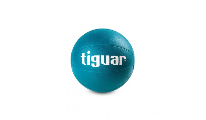 Tiguar medicine ball 2 kg TI-PL0002