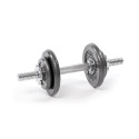 Profit 10kg DK 4126 cast iron dumbbell