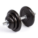 Profit 10kg DK 4126 cast iron dumbbell