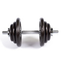 Profit 10kg DK 4126 cast iron dumbbell