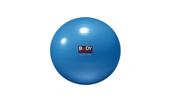 Anti-Burst BB 001 gym ball