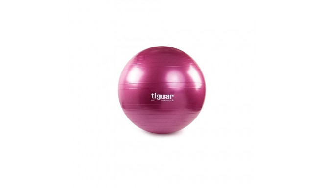 Tiguar safety plus ball 65 cm TI-SP0065S