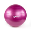 Tiguar safety plus ball 65 cm TI-SP0065S