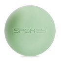 Spokey Home Jungle SPK-941536 training rubber set