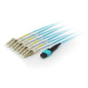 Equip MTP/MTP Trunk Fiber Optic Patch Cable, OM4, 10m