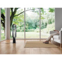 Dyson AM07 Silver, White