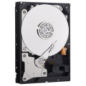 Western Digital Blue internal hard drive 1 TB 7200 RPM 64 MB 3.5&quot; Serial ATA III