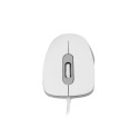 Modecom MC-M10S mouse Office Ambidextrous USB Type-A Optical 1000 DPI