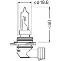 12V 55W PX22D HIR2