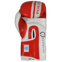 Boxing gloves Masters Rbt-PZKB-W 011101-02W (niebieski)