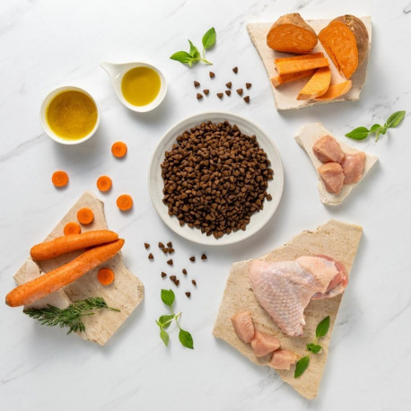 VETEXPERT Raw Paleo Ultra Mini Adult Turkey - dry dog ​​food - 2 kg