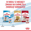 ROYAL CANIN SHN Medium kutsikatoit kastmes - märg kutsikatoit - 10x140g